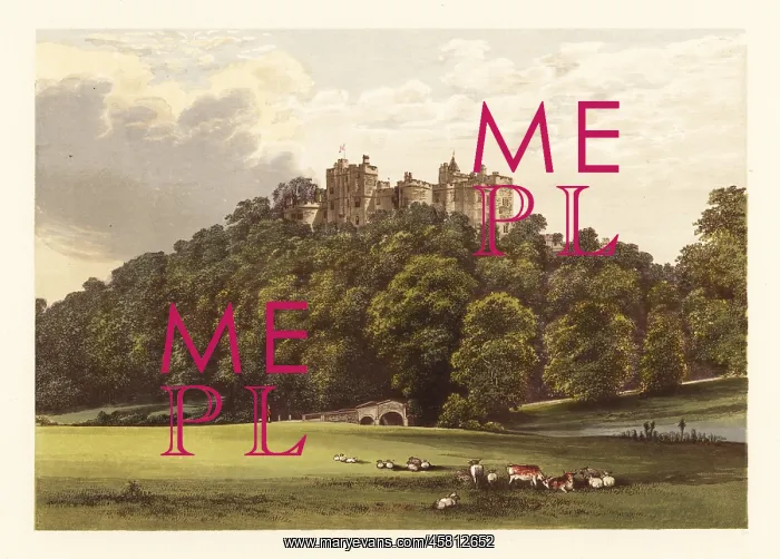 : Dunster Castle, Somersetshire, England : Dunster Castle, Somersetshire, England