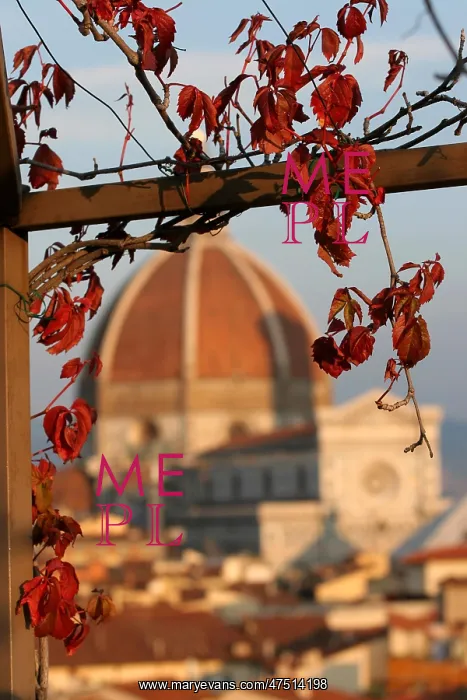  : Duomo, Florence