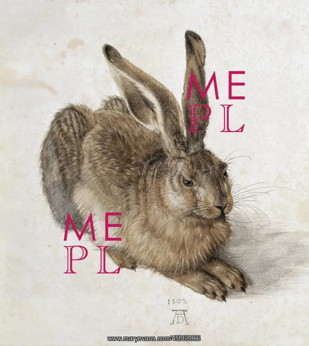 : DURER, Albrecht (1471-1528). Hare. 1502. Renaissance : DURER, Albrecht (1471-1528). Hare. 1502. Renaissance