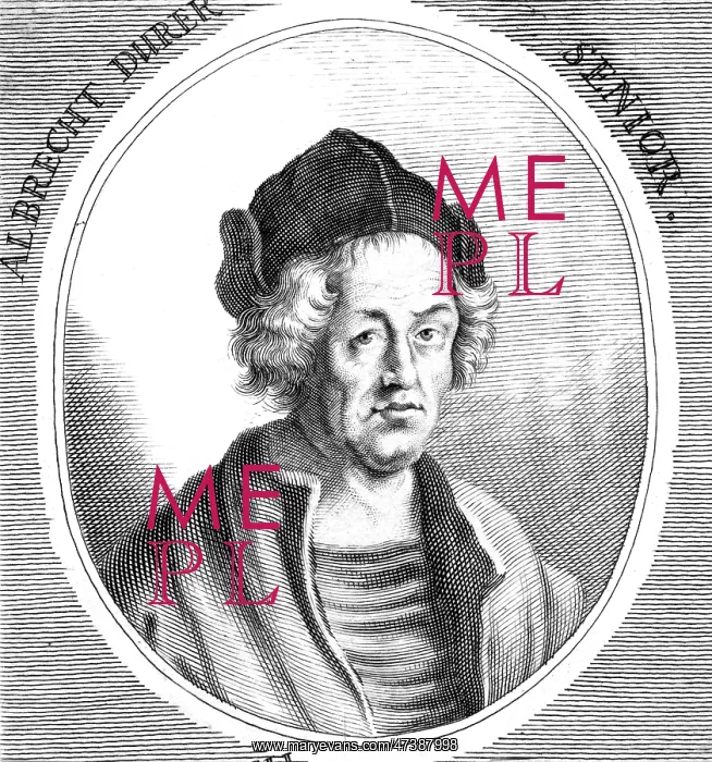 : DURER'S FATHER : DURER'S FATHER