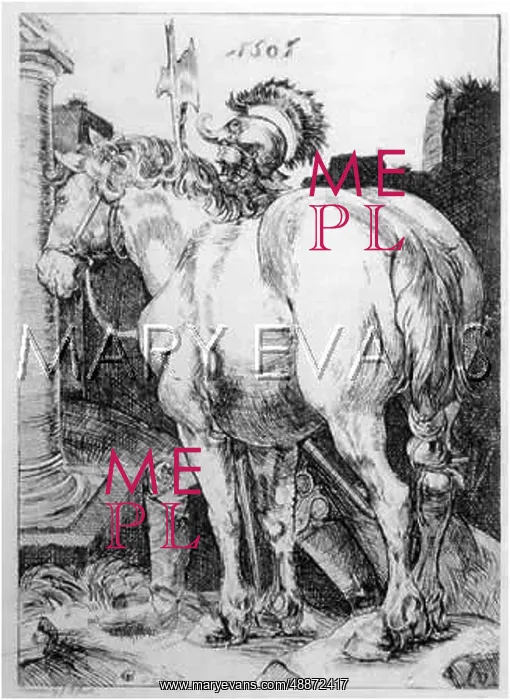  : DURER'S GREAT HORSE