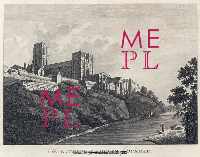  : DURHAM. Durham seen from the Wear : the cathedral dominates the scene