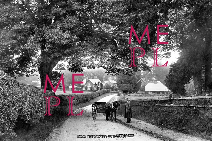  : Durley, the Village 1907