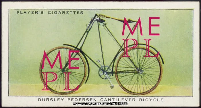  : Dursley-Pedersen Bike