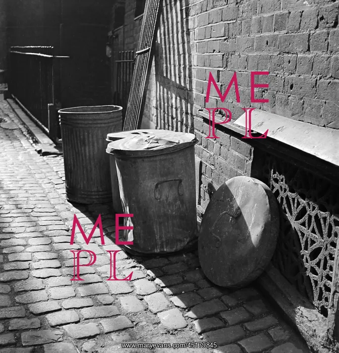  : Dustbins. Three dustbins in a cobbled London back-street