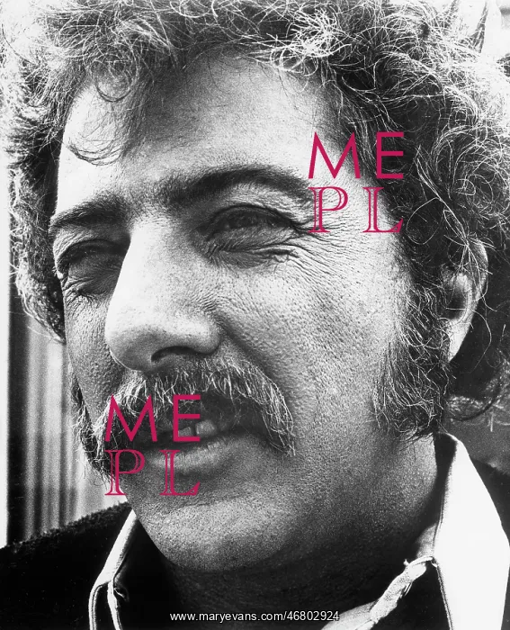: Dustin Hoffman - actor : Dustin Hoffman - actor