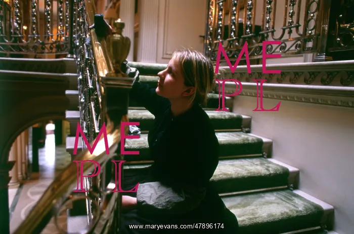 : DUSTING A STAIRCASE : DUSTING A STAIRCASE