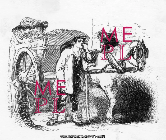 : Dustman and cart collecting refuse : Dustman and cart collecting refuse