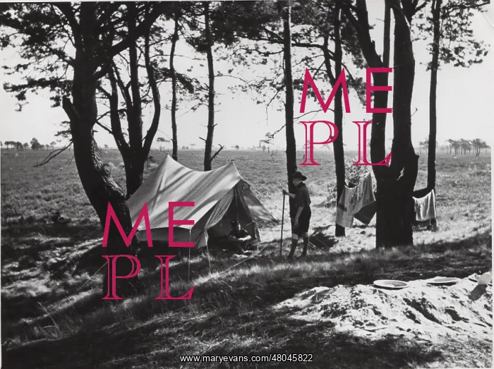 : Dutch boy scouts camping, Holland : Dutch boy scouts camping, Holland