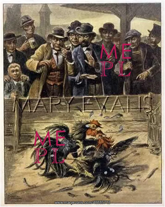  : DUTCH COCKFIGHT