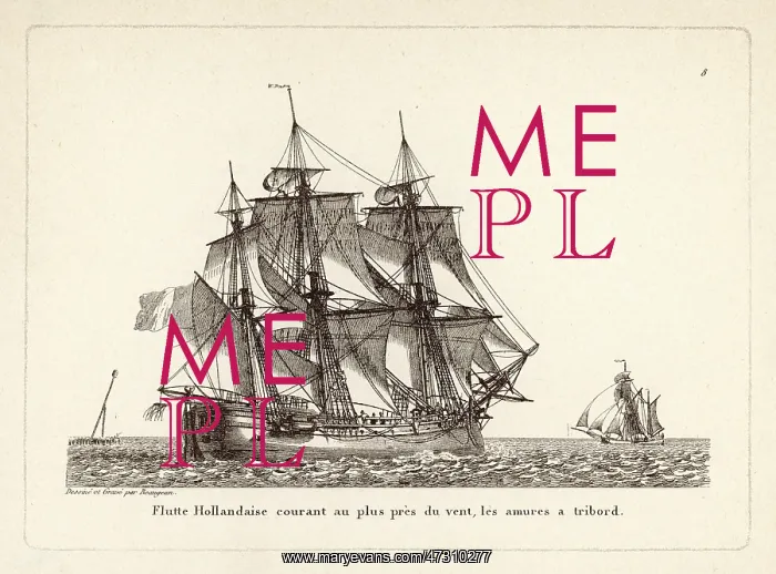 : Dutch Flute Ship