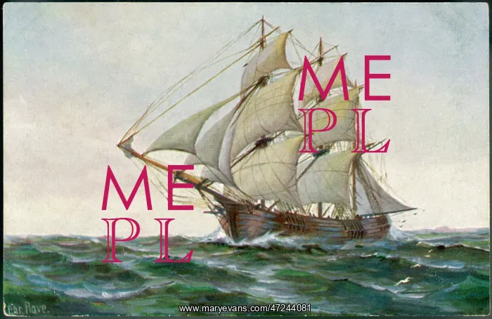  : DUTCH GALIPOT