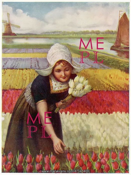 : DUTCH GIRL & TULIPS : DUTCH GIRL & TULIPS