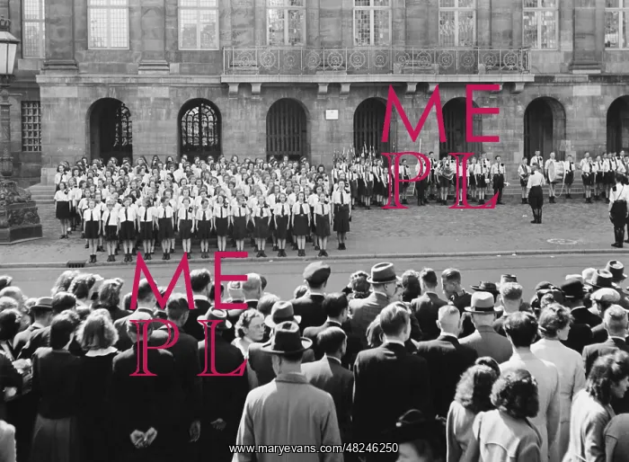 : Dutch Jeugdstorm, 1942 : Dutch Jeugdstorm, 1942