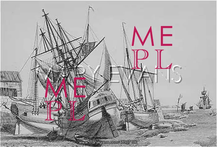 : DUTCH MERCHANTMEN C19TH