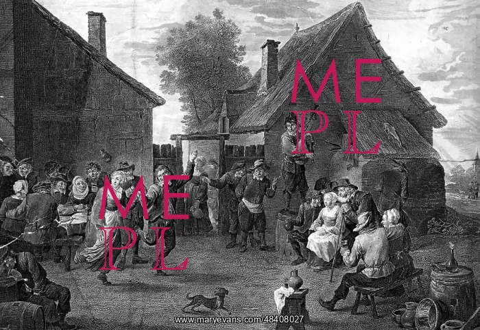  : Dutch rustic scene with music and celebration