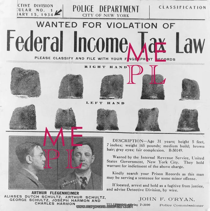 : Dutch Schultz, wanted poster with mugshot ? : Dutch Schultz, wanted poster with mugshot ?