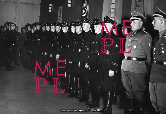 : Dutch SS men at a roll call, 1942 : Dutch SS men at a roll call, 1942