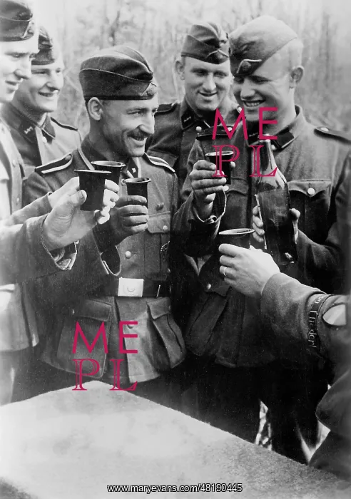 : Dutch volunteers of the Waffen SS on the Eastern front, 1942 : Dutch volunteers of the Waffen SS on the Eastern front, 1942