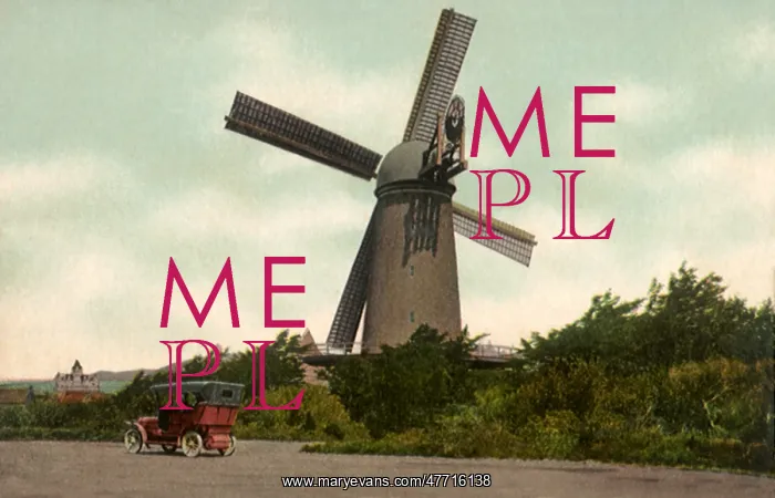 : Dutch Windmill. San Francisco : Dutch Windmill. San Francisco