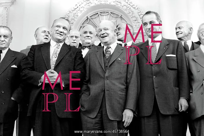 : Dwight Eisenhower - Lyndon Johnson - Government : Dwight Eisenhower - Lyndon Johnson - Government