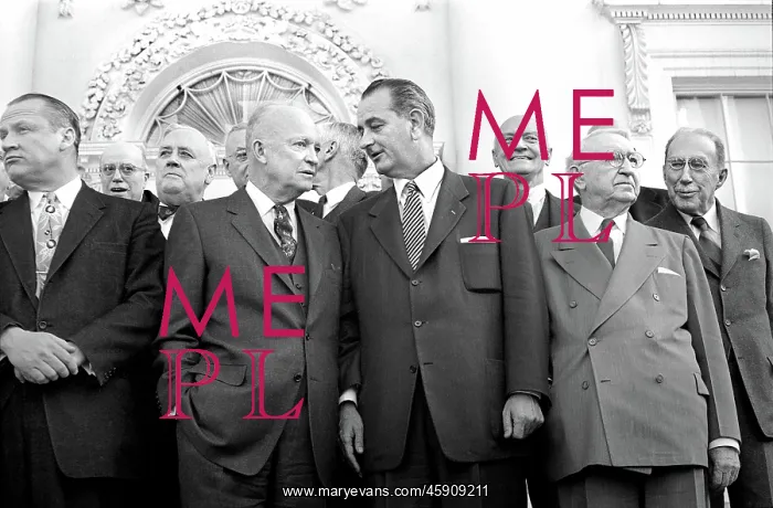 : Dwight Eisenhower, Lyndon Johnson, government : Dwight Eisenhower, Lyndon Johnson, government