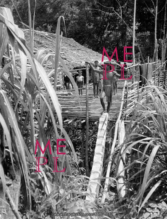 : DYAK LONGHOUSE : DYAK LONGHOUSE