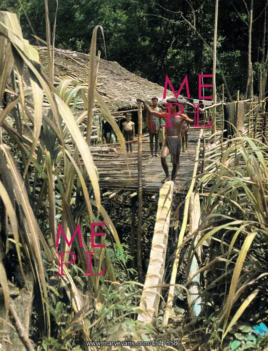: DYAK LONGHOUSE : DYAK LONGHOUSE