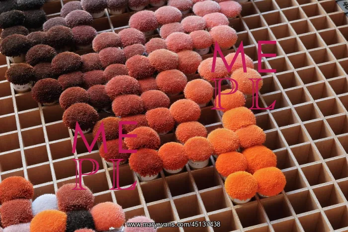 : Dyeing and colour workshop, Les Gobelins, Le Mobilier : Dyeing and colour workshop, Les Gobelins, Le Mobilier