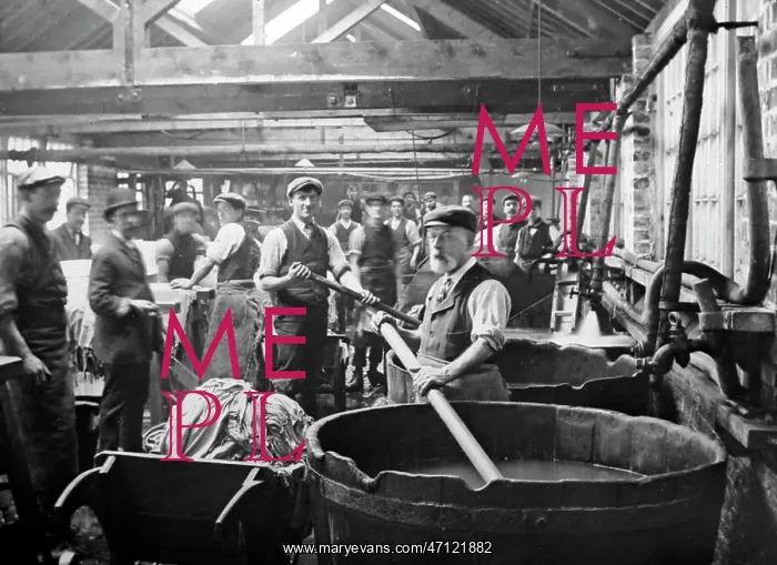  : Dyeing, leather production