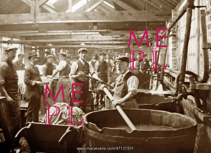  : Dyeing, leather production