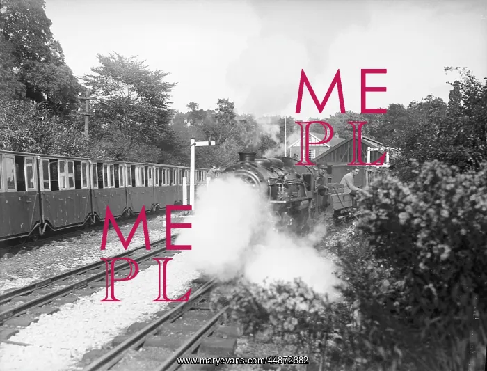 : DYMCHURCH LIGHT RAILWAY : DYMCHURCH LIGHT RAILWAY