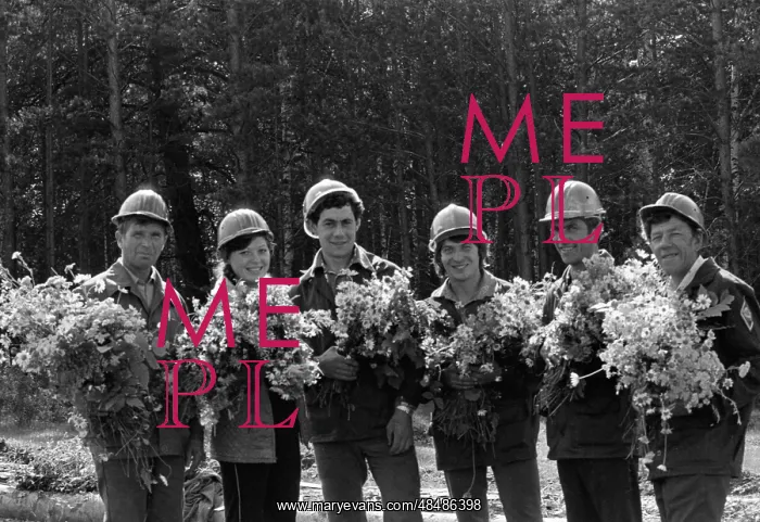 : Dzerzhinsky Timber Industry Enterprise : Dzerzhinsky Timber Industry Enterprise