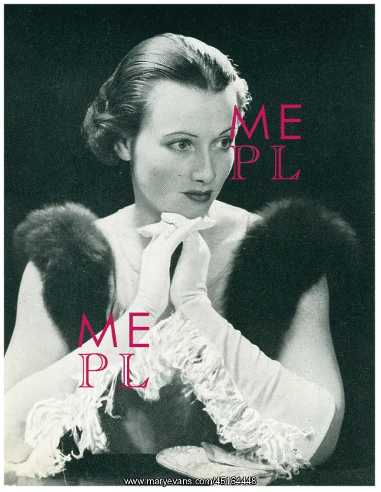 : E. Dingle & Co Advertisement Photograph : E. Dingle & Co Advertisement Photograph