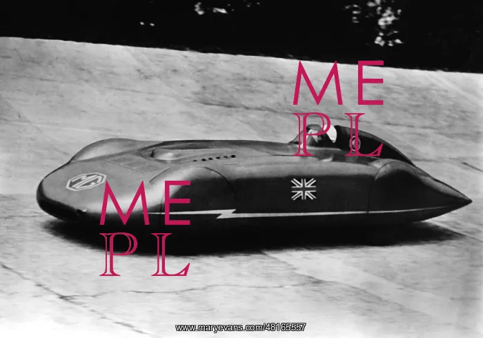  : E. Gardner