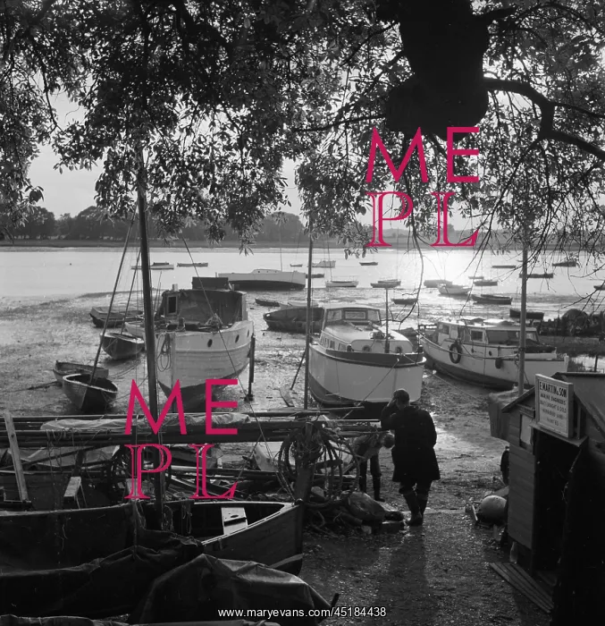 : E Martin And Sons Boatyard : E Martin And Sons Boatyard
