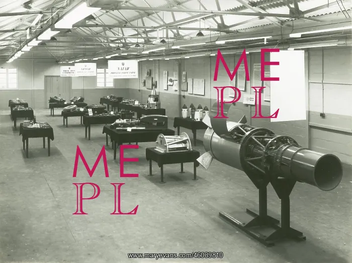 : E127, popularly known as Nymph, on display : E127, popularly known as Nymph, on display
