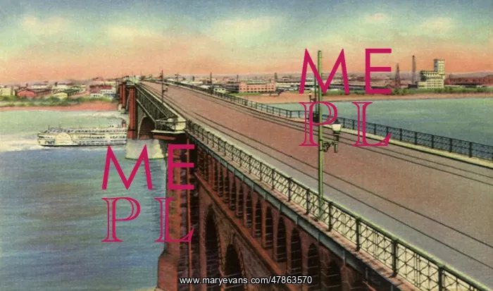  : Eads Bridge. Saint Louis