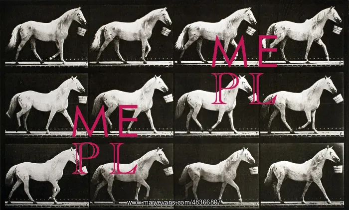 : Eadweard Muybridge A sequence of photographs showing : Eadweard Muybridge A sequence of photographs showing