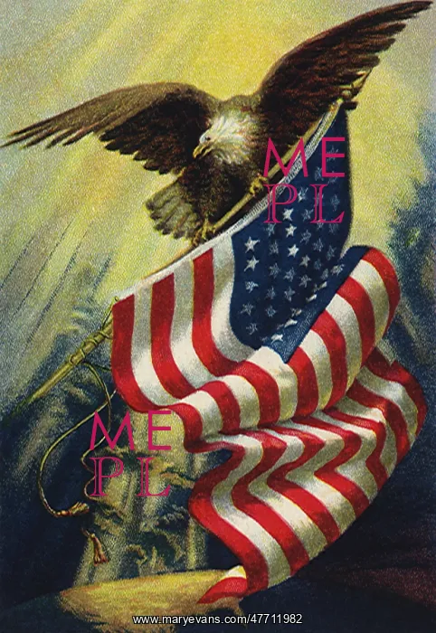 : Eagle and American Flag : Eagle and American Flag