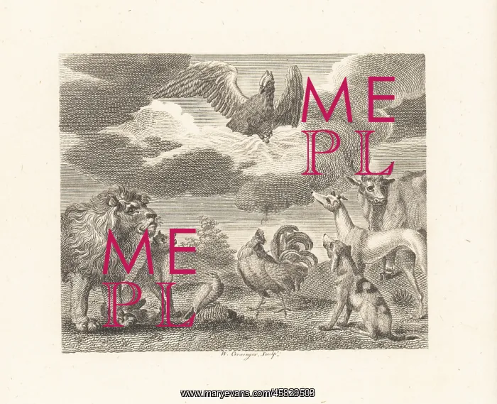 : The Eagle and the Assembly of Animals : The Eagle and the Assembly of Animals