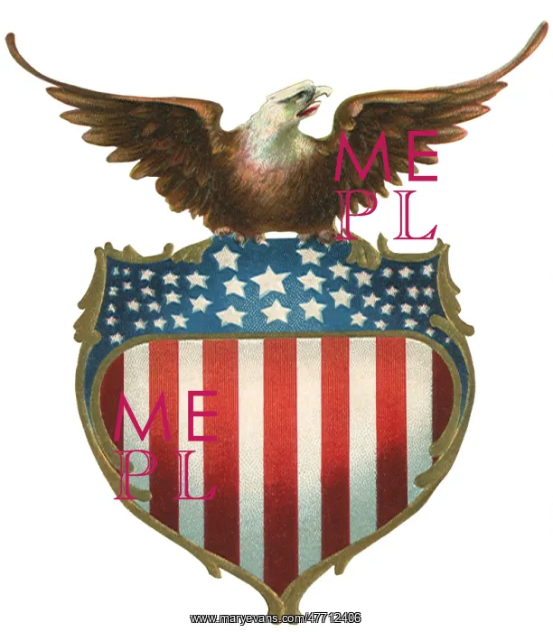 : Eagle Atop Shield : Eagle Atop Shield