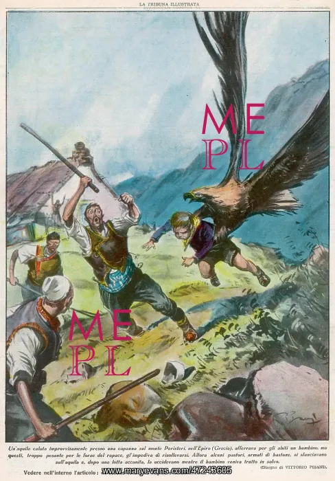 : Eagle attempts abduction : Eagle attempts abduction