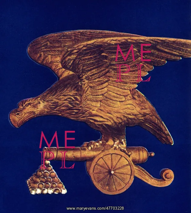  : Eagle on Cannon Statue