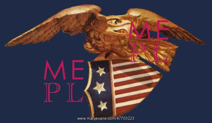  : Eagle Carrying Shield