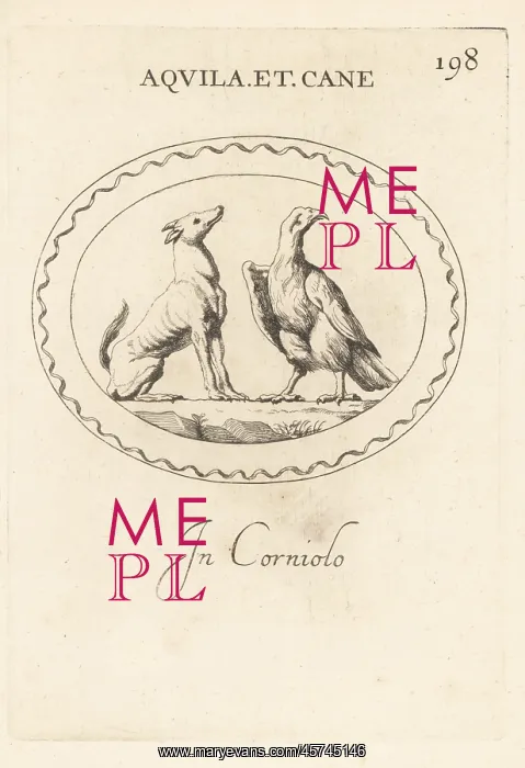 : Eagle and dog, celestial or Zodiac signns : Eagle and dog, celestial or Zodiac signns
