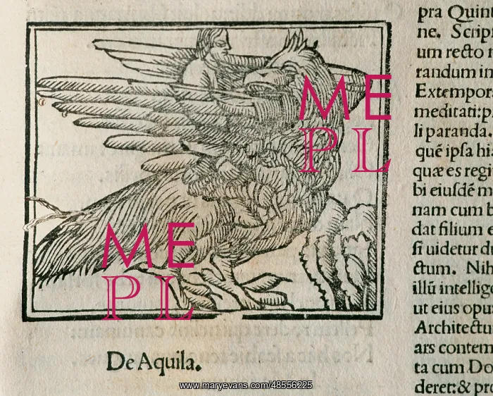 : Eagle. Epigrams by Martial : Eagle. Epigrams by Martial