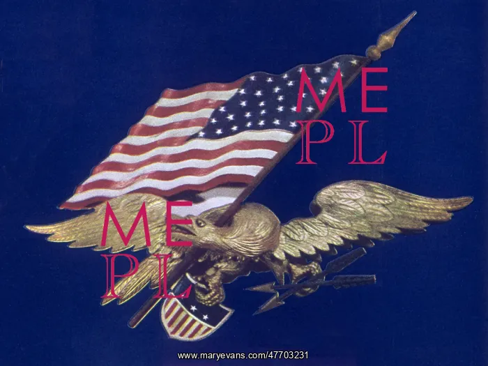 : Eagle with Flag and Shield : Eagle with Flag and Shield