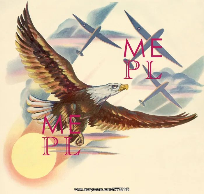 : Eagle and Gliders : Eagle and Gliders