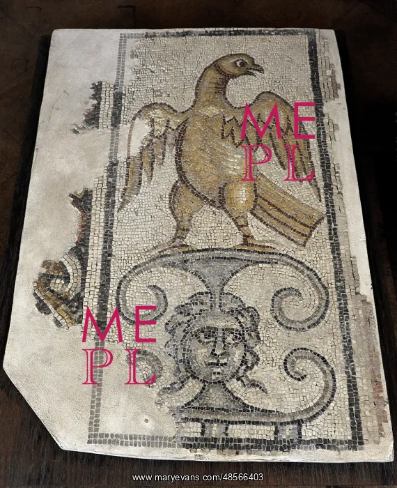 : Eagle and Medusa Head. Mosaic floor. Synagogue at Yafia, Low : Eagle and Medusa Head. Mosaic floor. Synagogue at Yafia, Low